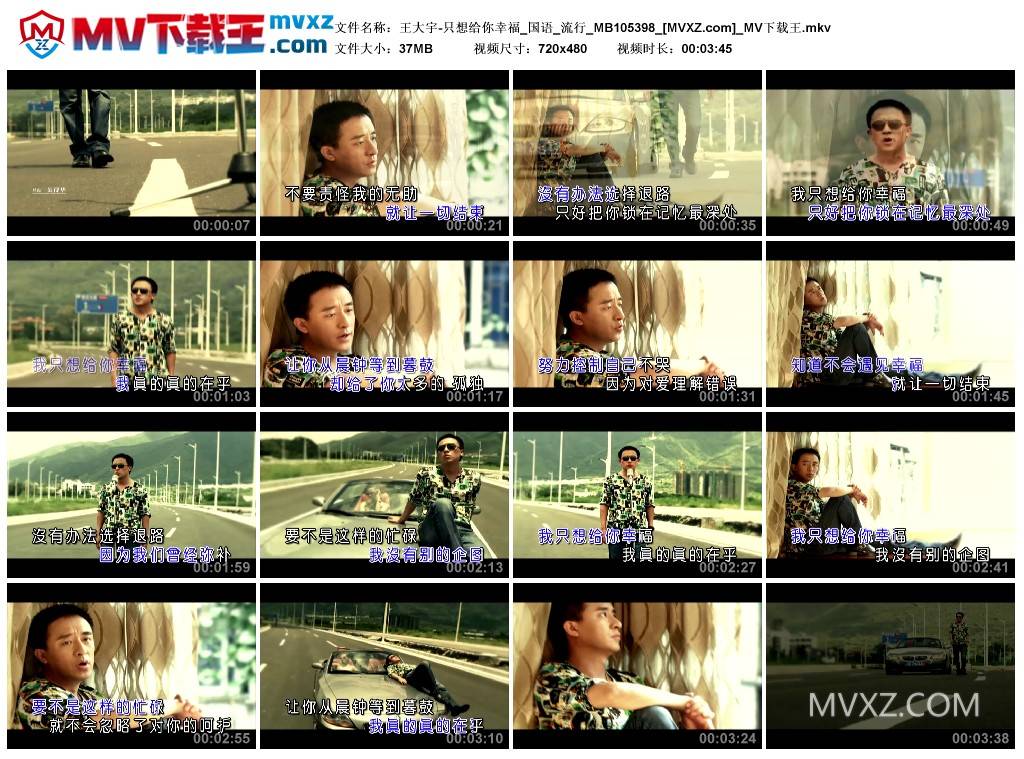 王大宇-只想给你幸福_国语_流行_MB105398